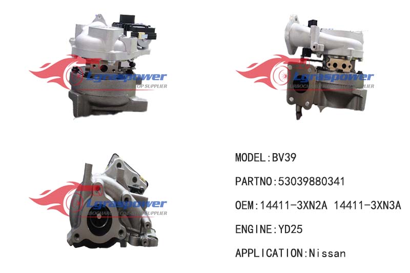 783	BV39	53039880341